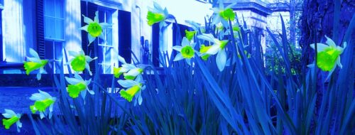 Barbara Copperthwaite’s Flowers for the Dead is a psychological thriller on a par with Ruth Rendell’s darker works.