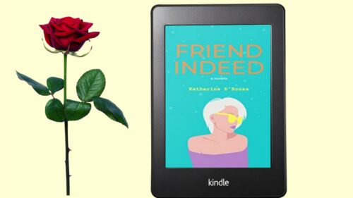 Friend Indeed by Katharine D'Souza - abook that explores secrets, lies and domestic noir